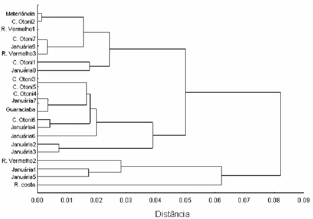 Figura 4:  Dendrograma UPGMA ilustrando as distâncias genéticas médias,  calculadas a partir de dados dos locos microssatélites analisados,  entre as colônias de  Melipona quadrifasciata 
