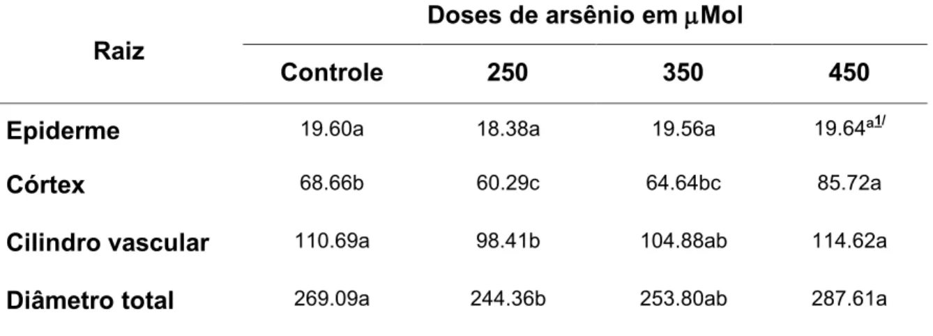Tabela  3.    Parâmetros  micromorfométricos,  expressos  em  m,  da  raiz  de  plântulas de Brassica  oleraceae L