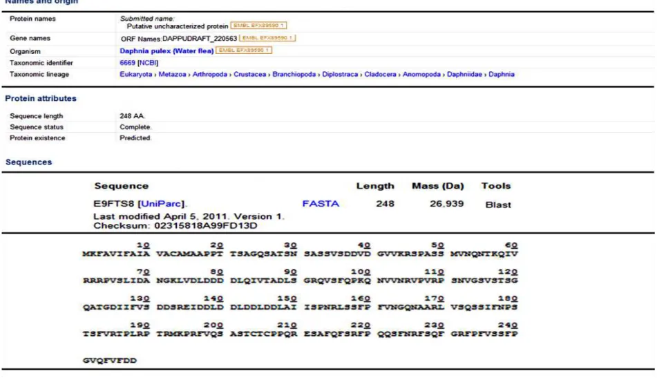 FIGURA 8. Características da proteína Dappu pulex no algoritmo FASTA - Caracterização da identidade da proteína de Dappu pulex 