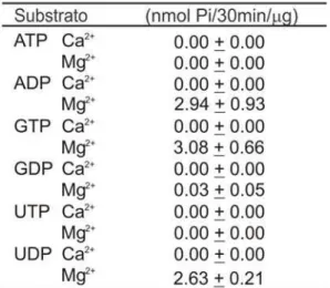 Tabela 1: Análise da preferência pelo substrato. A atividade enzimática foi realizada em tampão contendo 50mM de Tris pH8,0; 50mM de HEPES pH8,0; 3mM de MgCl 2  ou CaCl 2; 116mM de NaCl ; 5,4mM de KCl  e 2,5mM do nucleotídeo indicado