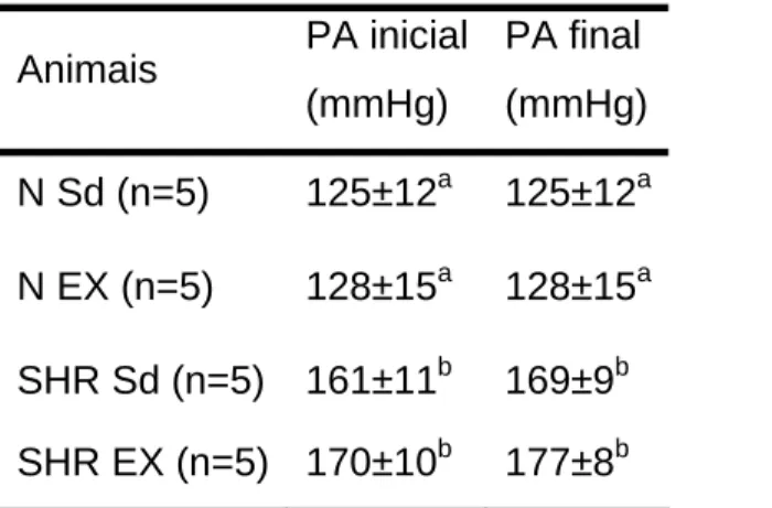 Tabela 2. Pressão arterial (PA) nos grupos experimentais (média ± d.p.).   Animais  PA inicial  (mmHg)  PA final (mmHg) N Sd (n=5)  125±12 a  125±12 a  N EX (n=5)  128±15 a  128±15 a  SHR Sd (n=5)  161±11 b  169±9 b  SHR EX (n=5) 170±10 b  177±8 b 