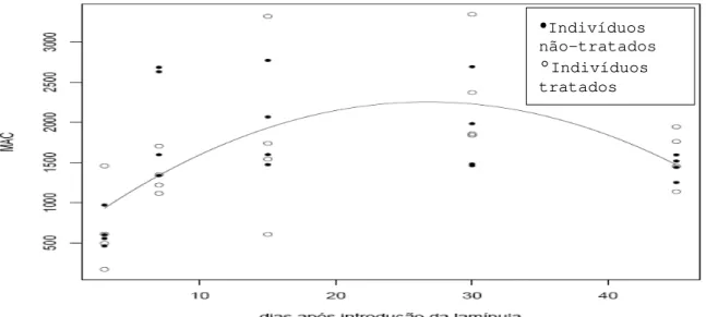 Figura 8. Quantificação de Macrófagos/fibroblastos (MAC) encontrado nas  lamínulas em função do tempo