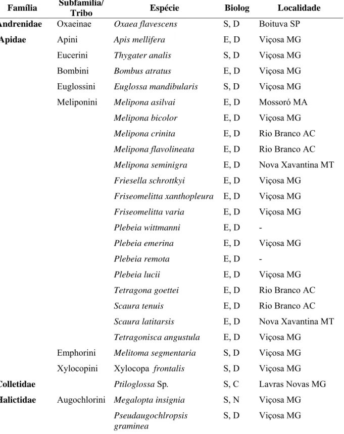 Tabela 1. Espécies de abelhas utilizadas no estudo de sensilas antenais. 