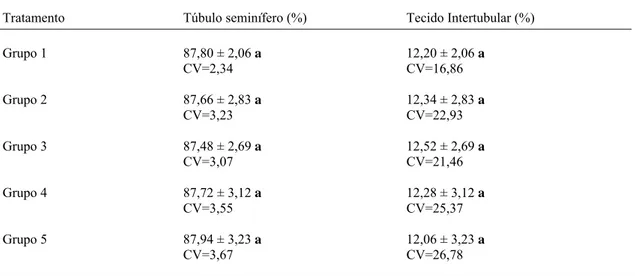 Tabela 2- Proporção volumétrica dos compartimentos do parênquima testicular em ratos  Wistar tratados com paracetamol durante 53 dias