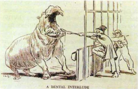 Figura  1:  Extração  de um  incisivo fraturado em  um  hipopótamo no  Zoológico de  Londres,  em  1873 (Fonte: San Roman, 1999)