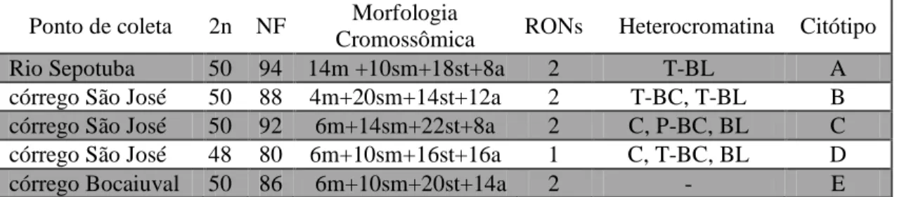 Tabela    1:  Resultados  obtidos  com  técnicas  citogenéticas  aplicada  para  Astyanax  asuncionenses