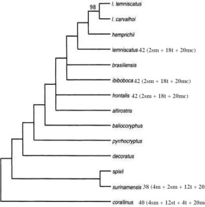 FIGURE 15. Relationships for all South American triad species of Micrurus based on molecular data (Silva  &amp; Sites, 2001), plus karyotipic data
