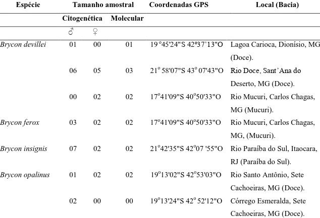 Tabela I Espécies coletadas de briconíneos, número de amostras citogenéticas e  moleculares utilizadas, coordenadas geográficas e locais de coleta das espécies nas  bacias costeiras do leste do Brasil