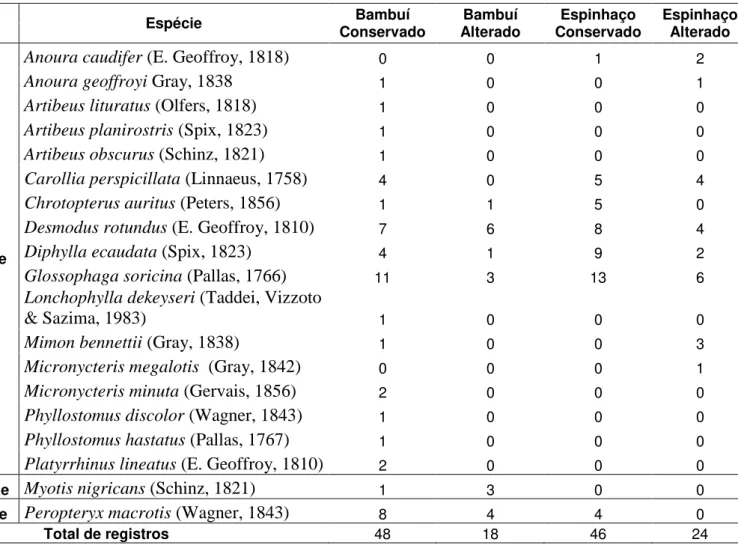 Tabela 1: Espécies de quirópteros capturados em regiões cársticas de Minas Gerais, separadas por  formação geomorfológica e estado de conservação das cavernas