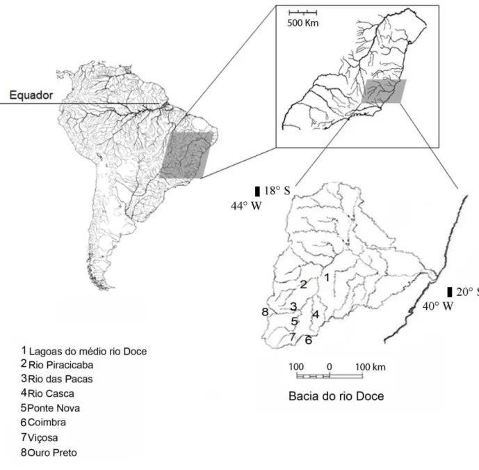 Figura 1. Locais de coletas nas bacias hidrográficas do rio Doce e São Francisco no sudeste  do Brasil