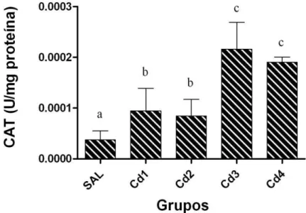 Figura 4. Atividade da catalase (CAT) no tecido testicular de ratos Wistar, sendo SAL  os  animais  do  controle  que  receberam  salina  IP