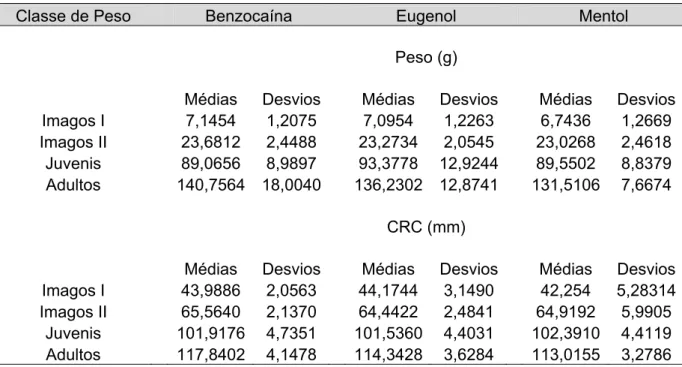 TABELA 7 - Médias e desvios de peso (g) e CRC (mm) de imagos I (5g a 10g), imagos II (20g a  30g), juvenis (80 a 100g) e adultos (120 a 160g) de rã-touro (Lithobates catesbeianus)  nos três anestésicos avaliados (benzocaína, eugenol e mentol)  