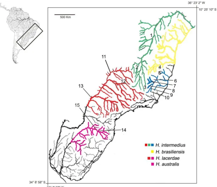 Figura 1 - Mapa das espécies de trairões do complexo Hoplias lacerdae no sudeste e sul do Brasil