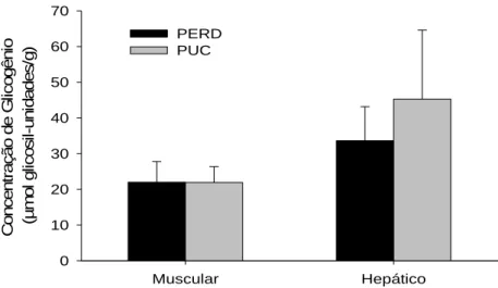 Fig. 2 Concentrações médias de glicogênio muscular e hepático  (µmol glucosil-unidades/g) em morcegos Artibeus lituratus  coletados no PERD e na PUC-MG
