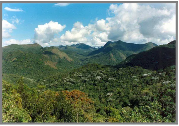 Figura 2: Fotos panorâmicas da área de estudo, na Fazenda do Brigadeiro, norte do PESB