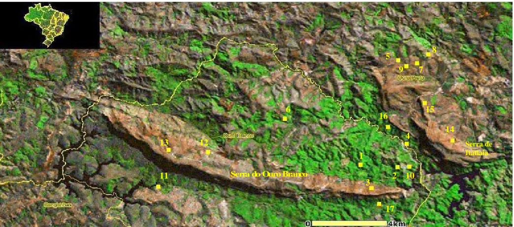Figura 2. Pontos de amostragem da fauna de anuros na região da Serra do Ouro Branco, extremo sul da Cadeia do Espinhaço, MG