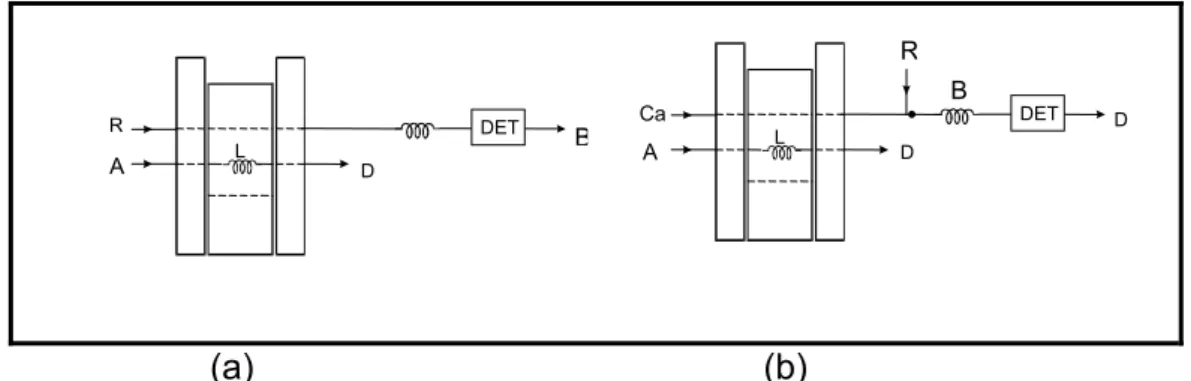Figura 8. Diagrama de fluxo de um módulo de análise. (a) Módulo de análise  em linha única; (b) Módulo de análise em confluência