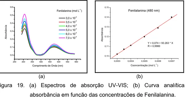 Figura 19. (a) Espectros de absorção UV-VIS; (b) Curva analítica,  absorbância em função das concentrações de Fenilalanina