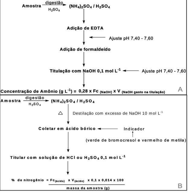Figura 12:  Etapas seguidas na determinação de amônio pelo método do formaldeído (A) e  de nitrogênio total pelo método de Kjeldahl (B)