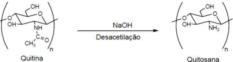 Figura 6: Desacetilação alcalina da quitina para obtenção da quitosana (JUSTI, 2006). 