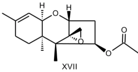 Figura 6: Trichoderminaproduzida por Trichodermasp. 