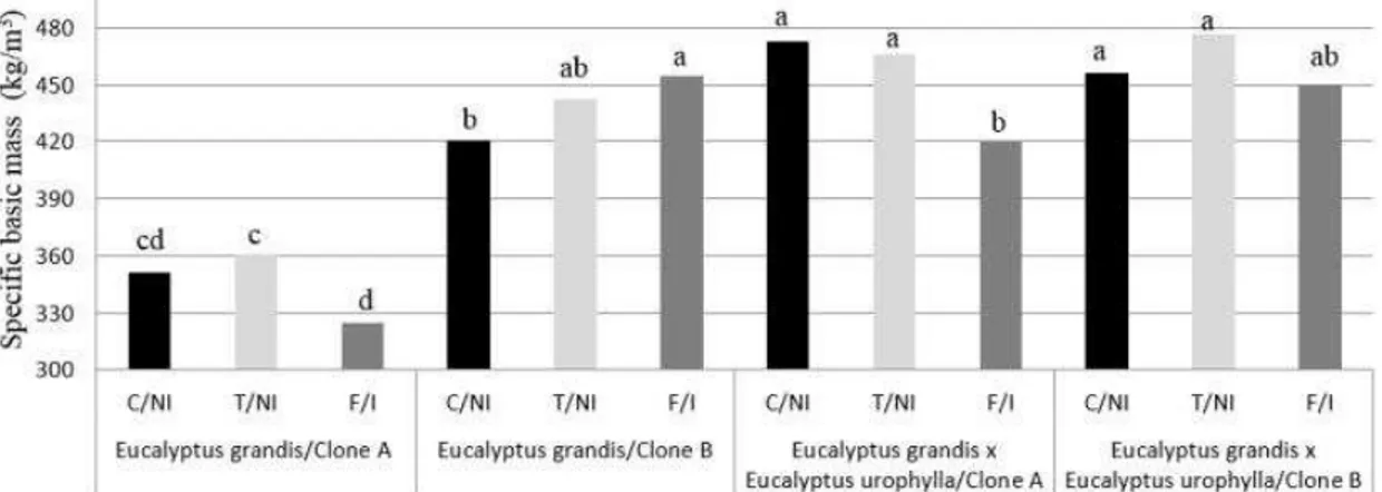 Figure  5.  Mean  values  of  specific  basic  mass  of  kg/cm 3   clones,  functioning  as  treatments,  being:  C/NI  -  Control  no  irrigated;  T/NI  -  Traditional  no  irrigated;  F/I  -  Ferti-irrigation