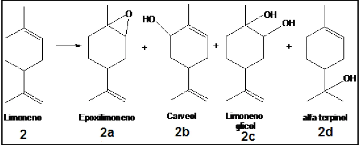 Figura  7  –  Principais  produtos  obtidos  na  reação  do  limoneno  pelo  peróxido  de  hidrogênio catalisada por H 3 PMo 12 O 40  em acetonitrila