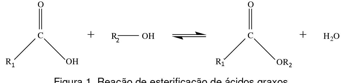Figura 1. Reação de esterificação de ácidos graxos. 