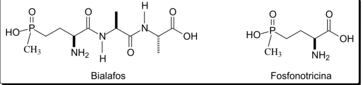 Figura 1 – Herbicidas de origem natural disponíveis comercialmente. 