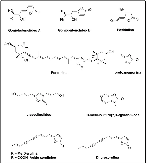 Figura 4 –  Exemplos de  γ -alquilidenobutenolídeos isolados de fontes  naturais. 