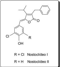 Figura 6 – Estruturas dos nostoclídeos I e II. 