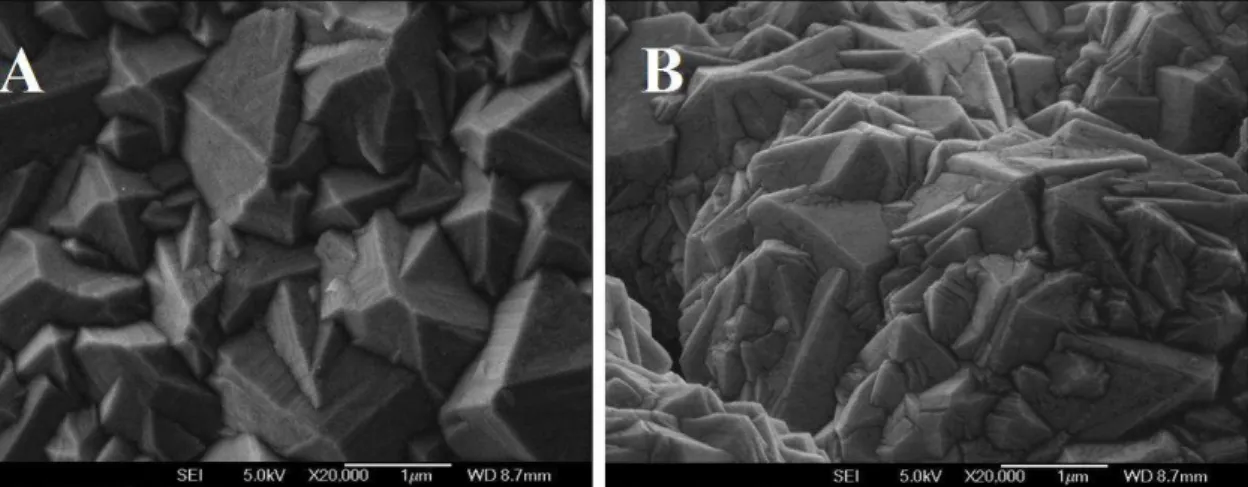 Figura  2.5.  Imagem  SEM  da  micromorfologia  típica  de  filme  de  diamante  depositado em tarugos de (A) silício e (B) nióbio