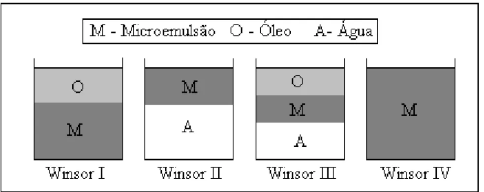 Figura 8 – Ilustração dos quatro sistemas de Winsor. 