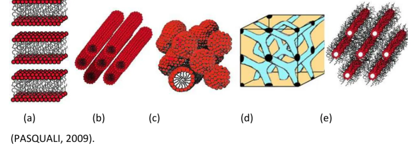 Figura 9 – Representação dos principais tipos e mesofases liotrópicas: lamelar (a), hexagonal  (b), cúbica micelar (c), cúbica bicontínua (d) e hexagonal reversa (e)