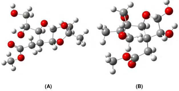 Figura 1.26. (A) produto da hidrólise dos acetais das hidroxilas em C5 e 