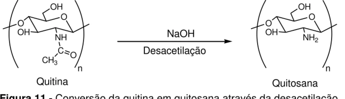 Figura 11 - Conversão da quitina em quitosana através da desacetilação. 