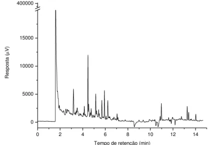 Figura  12.  Cromatograma  de  extrato  orgânico  obtido  de  amostra  de  pimentão  vermelho submetido à extração dispersão da matriz em fase sólida (DMFS).