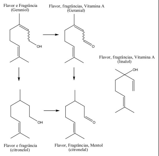 Figura 1. Transformações oxidativas dos principais terpenos (aromatizantes e fragrâncias).