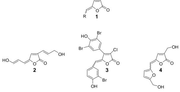 Figura 2 - Estrutura geral de  γ -alquilidenobutenolídeo e alguns exemplos de  produtos naturais desta classe