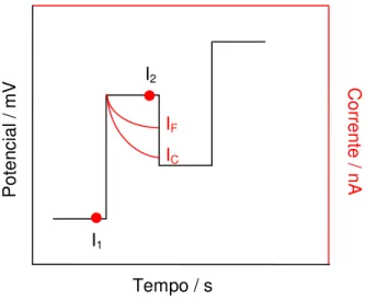 Figura 5. Representação esquemática da técnica de pulso diferencial 