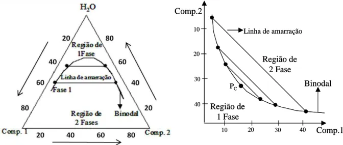 Figura 1. Diagramas de fase expressos em coordenadas triangulares e retangulares. 