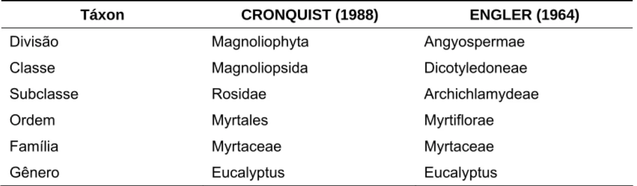 Tabela 1  – Classificação taxonômica do gênero  Eucalyptus  segundo Cronquist 