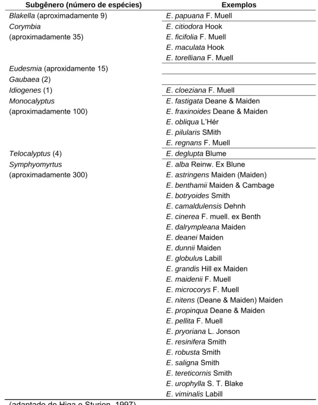 Tabela 2  – Divisão taxonômica do gênero  Eucalyptus  com exemplos de algumas  espécies 