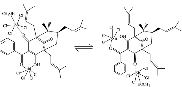Figura 10 - Proposta de estrutura e, equilíbrio tautomérico para o composto derivado  de SnCl 4  de fórmula 4 ou 5, em solução