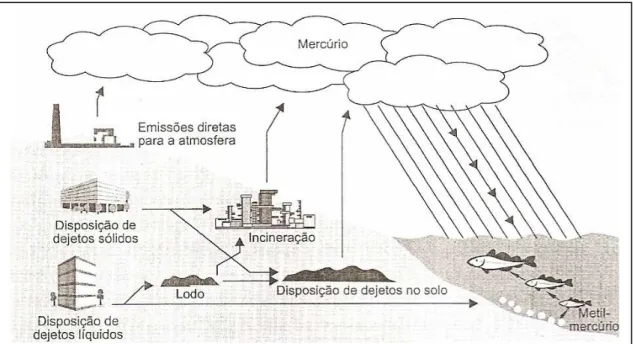 Figura 3: Contribuição antrópica para o ciclo do Hg. Fonte: AZEVEDO &amp;  CHASIN, 2003