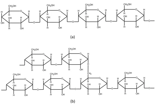 Figura 3. Estruturas representativas da (a) amilose e da (b) amilopectina.  1.4.1.2.  Réplica de carbono derivada de hidróxido duplo lamelar 