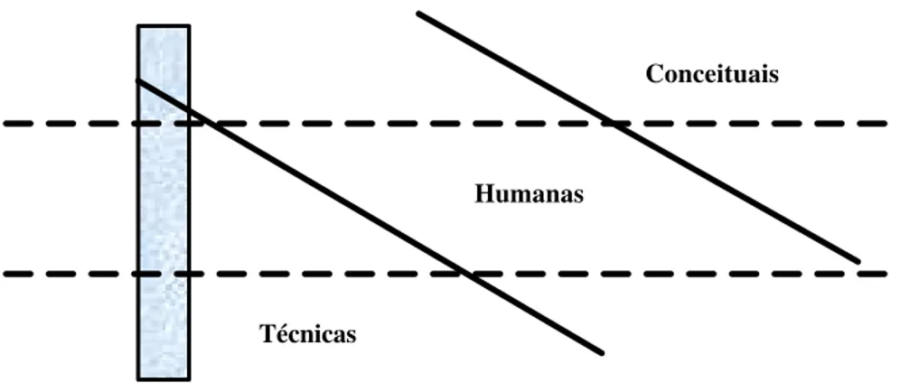 Figura 3 - Três dimensões das aptidões gerenciais   Fonte: Maximiano (2000) 