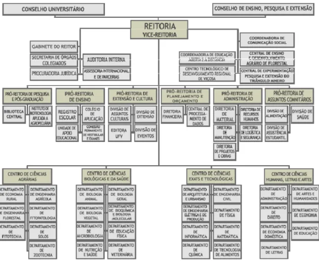 Figura 3 - Estrutura organizacional da UFV. 