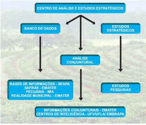 Figura 10- Estrutura do Centro de Análise e Estudos Estratégicos  Fonte: SEAPA(2011) 