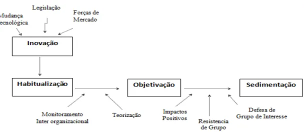 Figura 2 - Processos inerentes à institucionalização. 